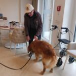 598569692_838111652432998_796905943181085610_n